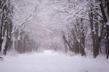 暴雪红色预警(中国多个省份发布暴雪红色预警，民众注意防范)